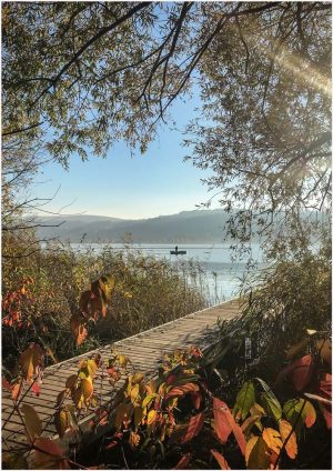 Fotokarte Herbststimmung am Greifensee bei Uster (Schweiz), schmaler Holzsteg mit Fischerboot im Hintergrund