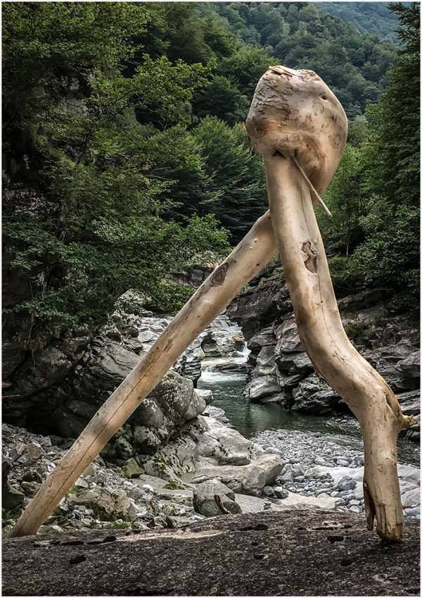 Fotokarte Holzskulptur im Flussbett der Isorno bei Russo im Onsernonetal (Tessin)