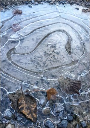 Fotokarte gefrorene Wasserpfütze im Winter bei Uster (Schweiz)